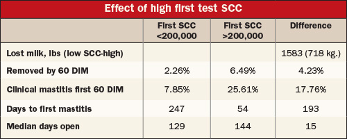 Effect of high first test SCC