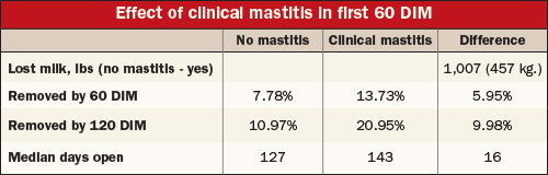 Effect of clinical mastitis in first 60 DIM