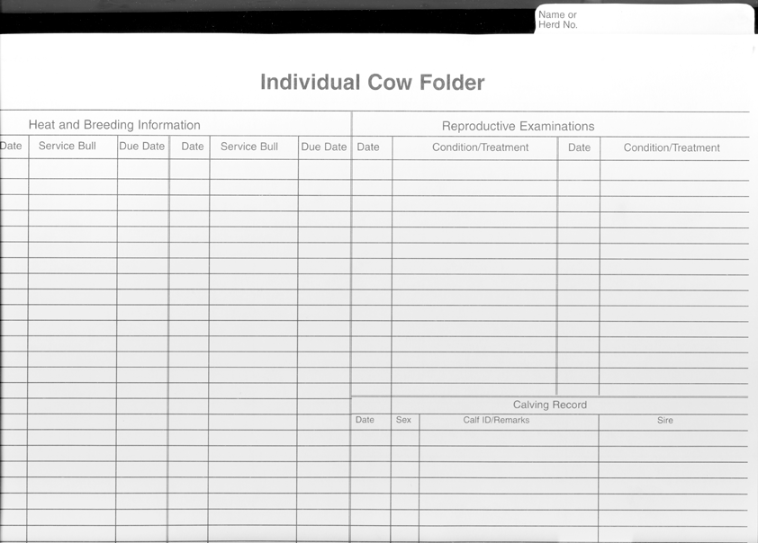 Cow Record Folders Hoards Dairyman